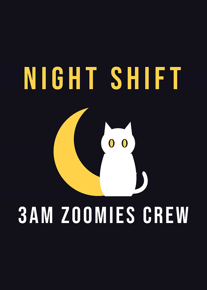 Night Shift Black Cat