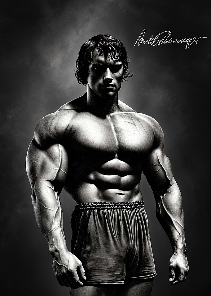 Arnold Schwarzenegger Bodybuilding Portrait