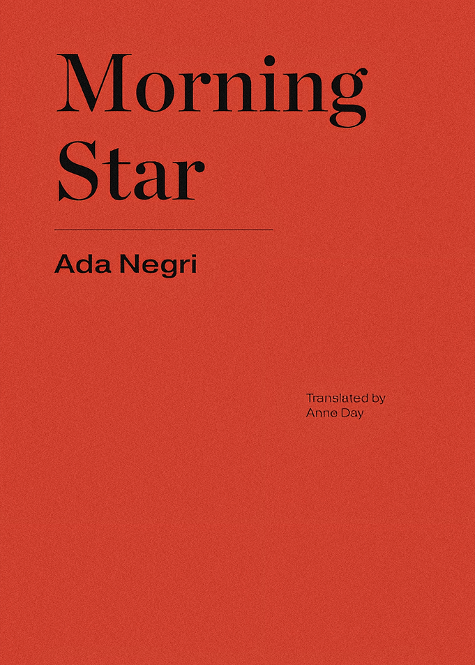 Morning Star Book Cover