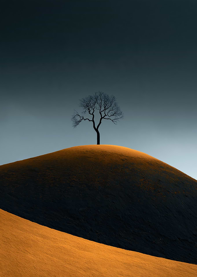 Solitary Tree on Golden Hill