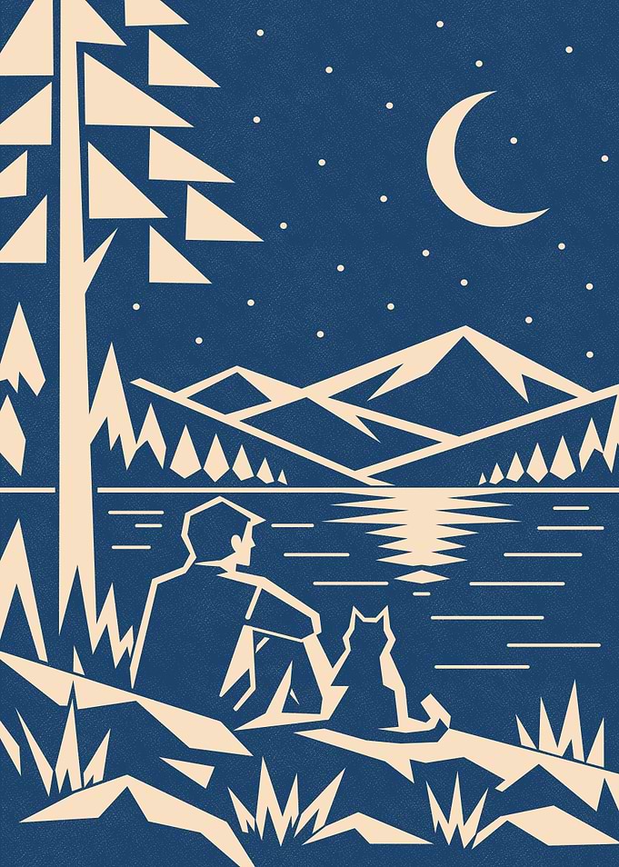 Minimalist Night Landscape with Person and Cat