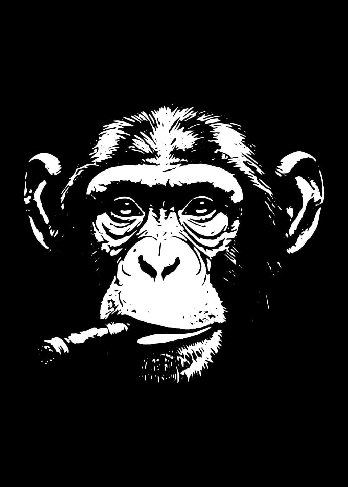 Smoking Chimpanzee Stencil Art