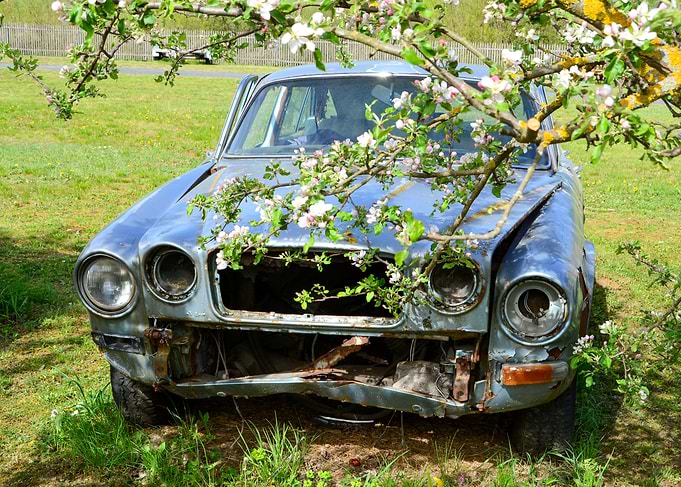 Abandoned Vintage Car in Spring Orchard