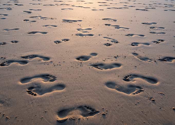 Footprints on Sandy Beach