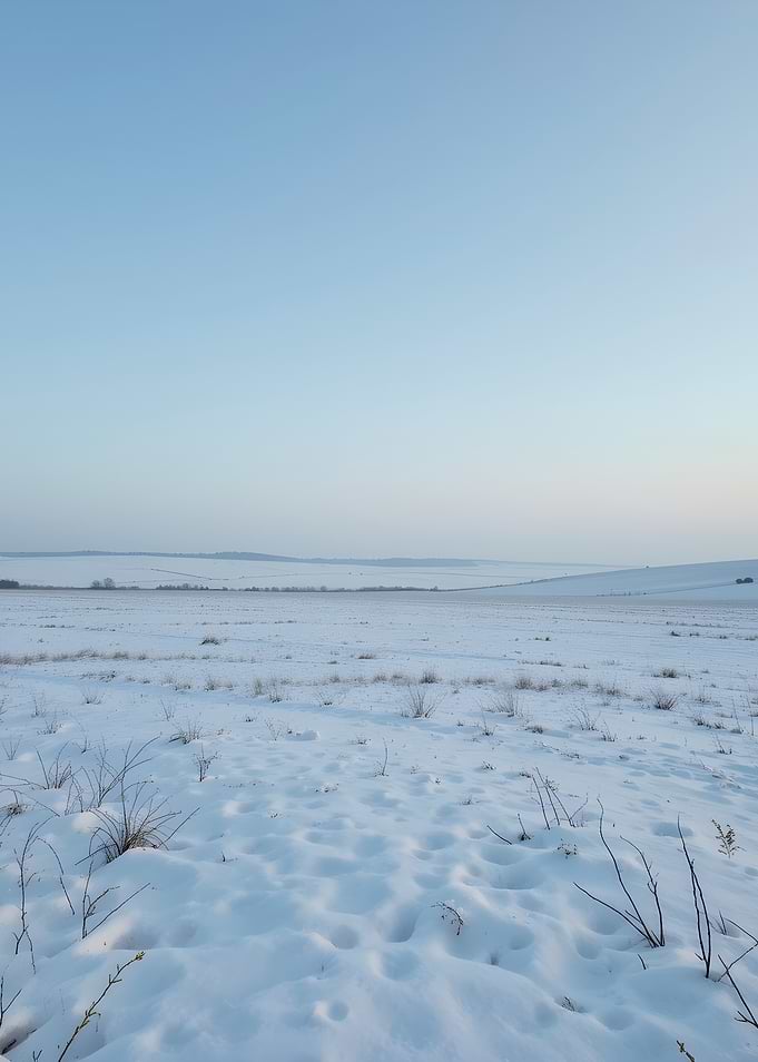 Vast Snowy Field at Twilight