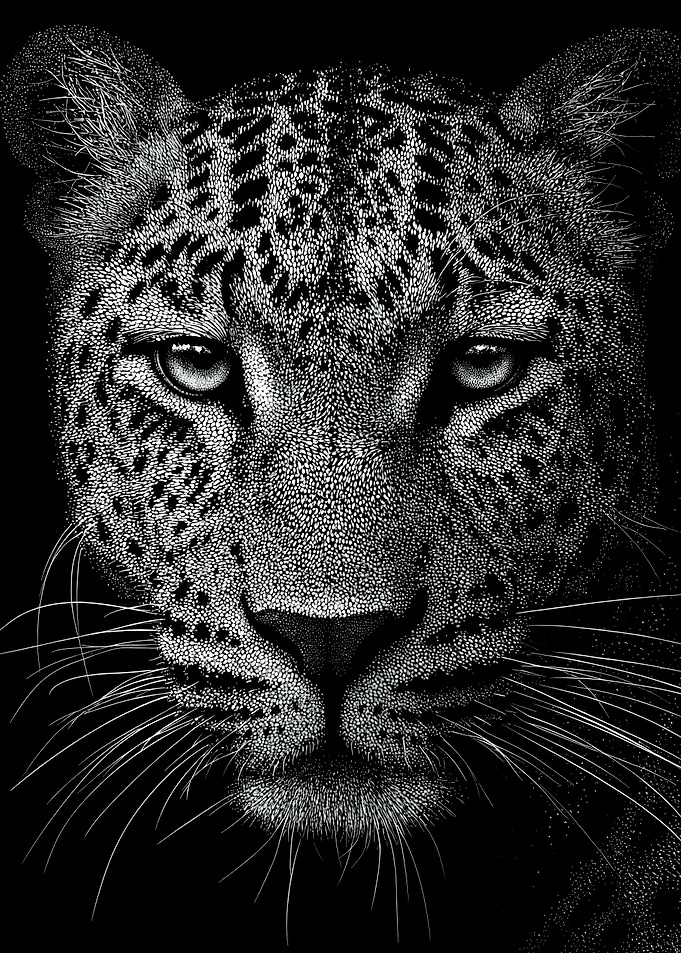 Monochrome Leopard Face Portrait In Stipple Dotwork