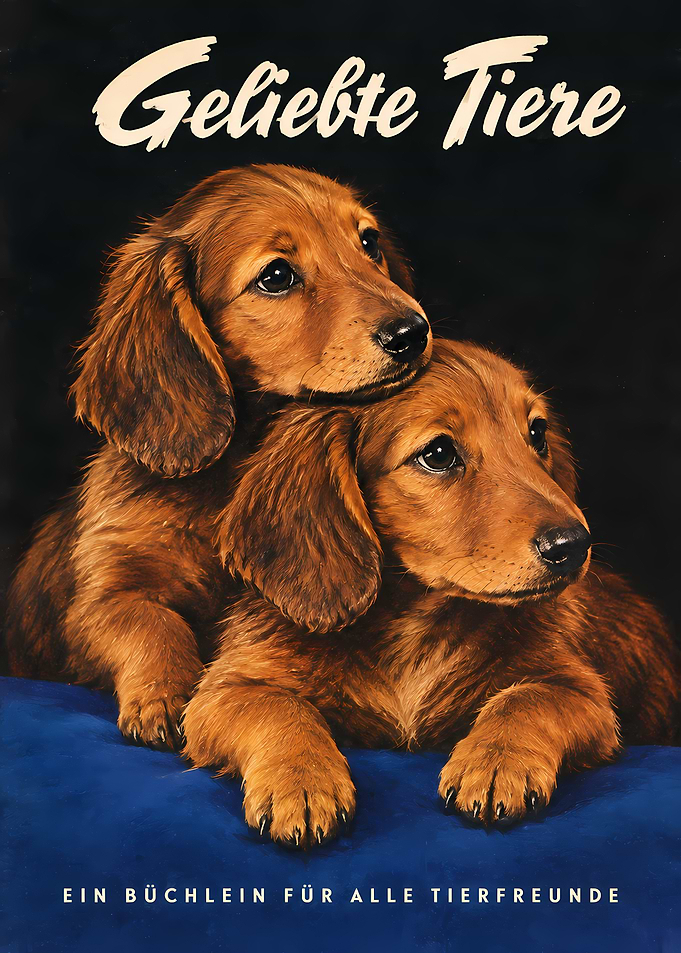 Geliebte Tiere Dachshund Puppy Portrait