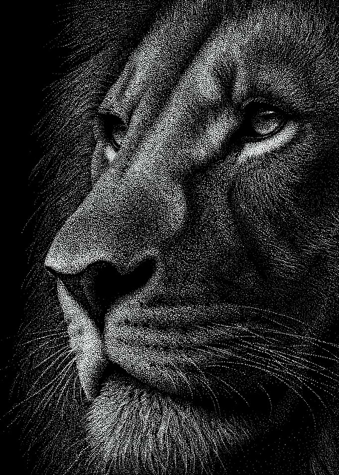 Powerful Monochrome Lion Portrait In Stipple Dotwork