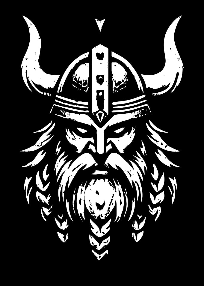 Viking Warrior Helmet Portrait