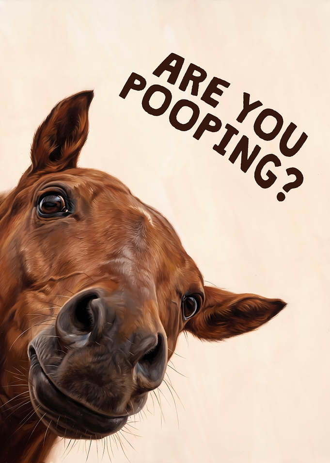 Horse Are You Pooping