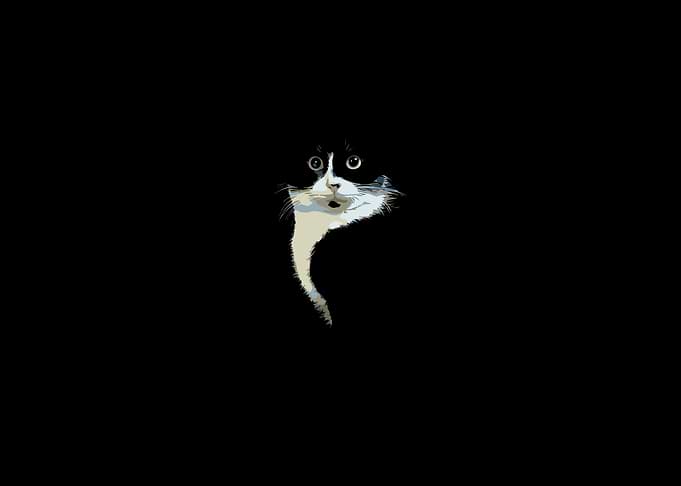 Minimalist Black and White Cat Portrait