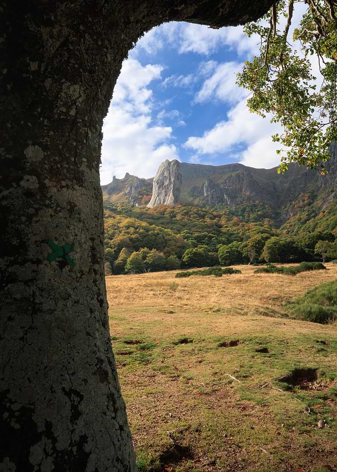 Mountain Landscape Framed by Tree