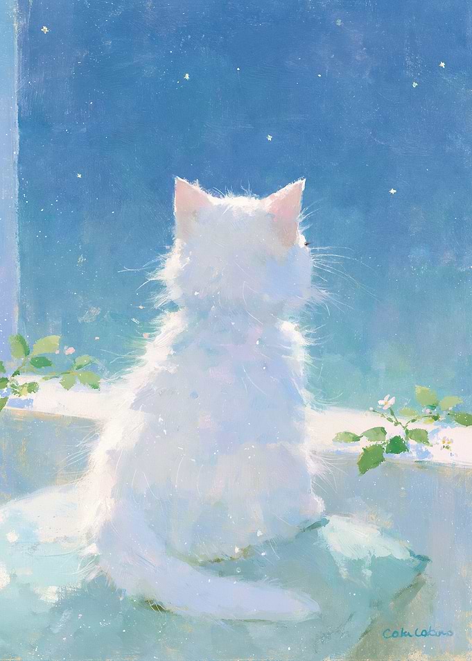 White Cat Looking Out Window