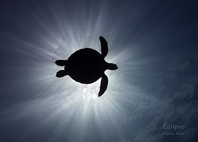 Eclipse