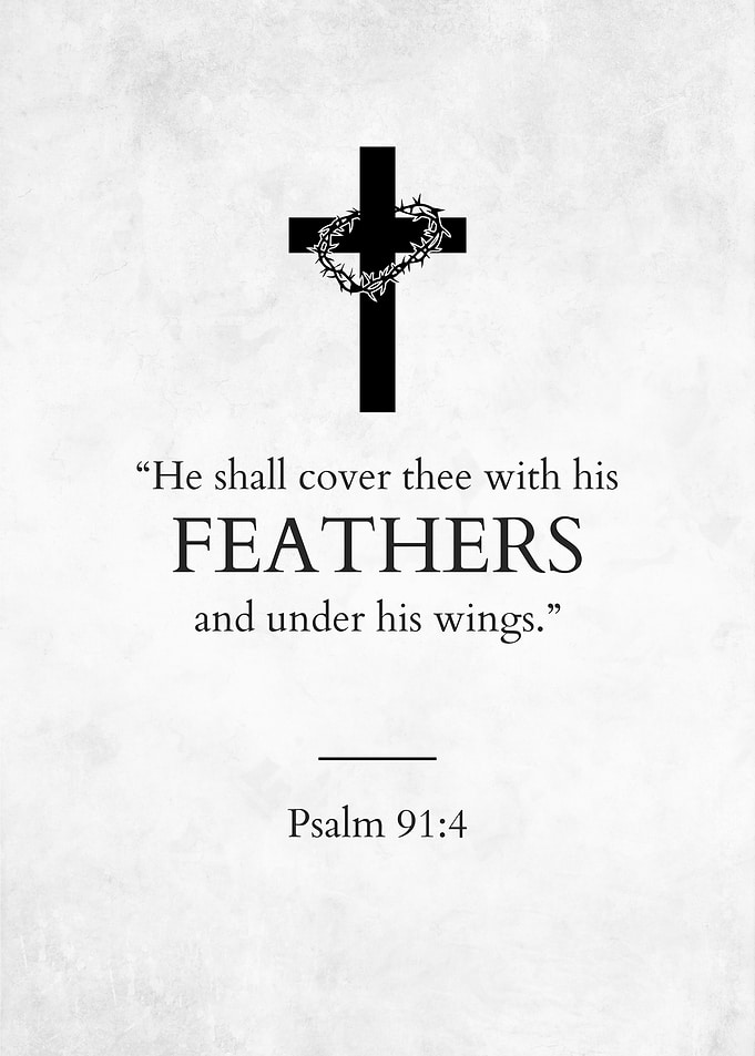 Psalm 91:4 Bible Verse