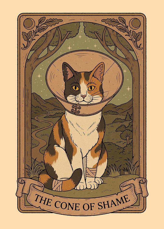 The Cone of Shame