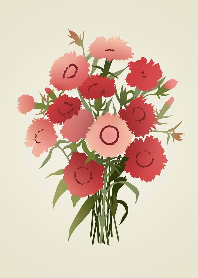 Stylized Bouquet of Red Carnations