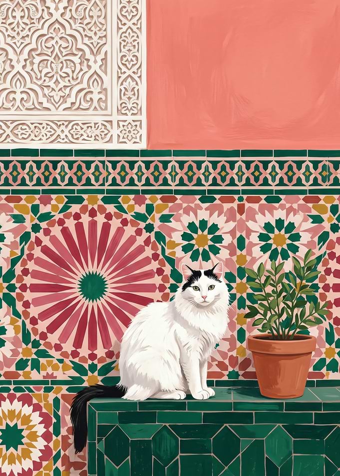 White Cat Against Moroccan Tile Wall