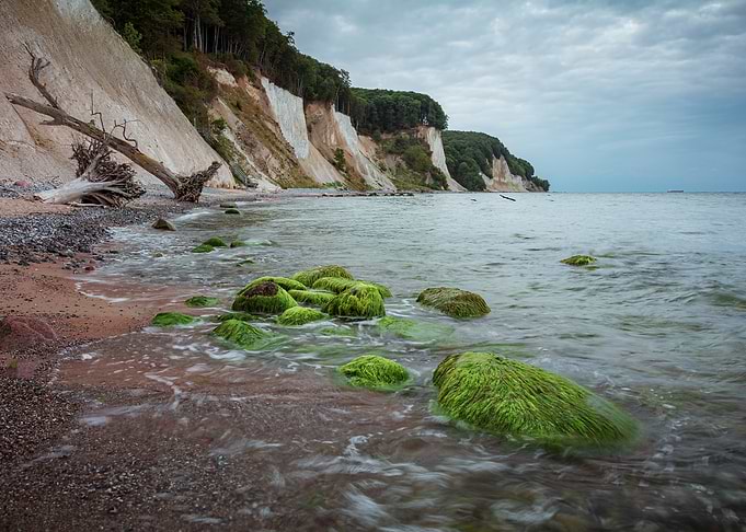 Mossy Rocks on Rügen Chalk Coast