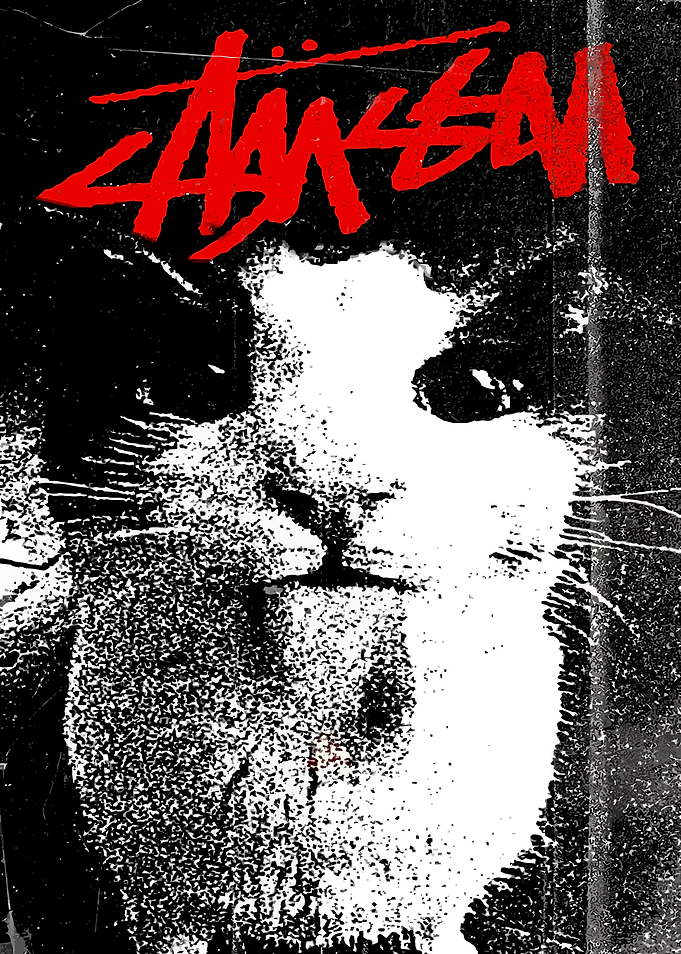 Stussy Cat Graphic Poster