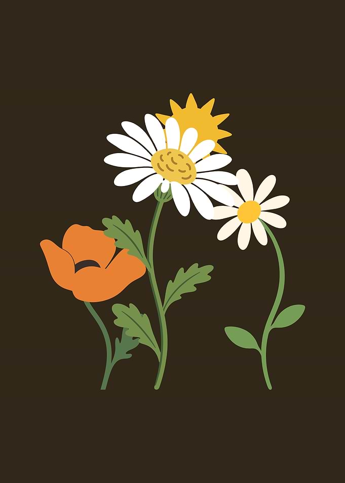 Flowers Botanical Floral Design Drawing Plant