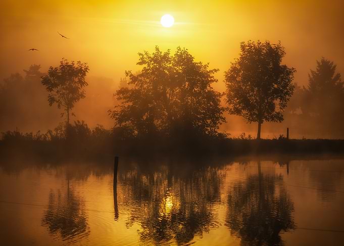 Golden Sunrise Over Misty Lake