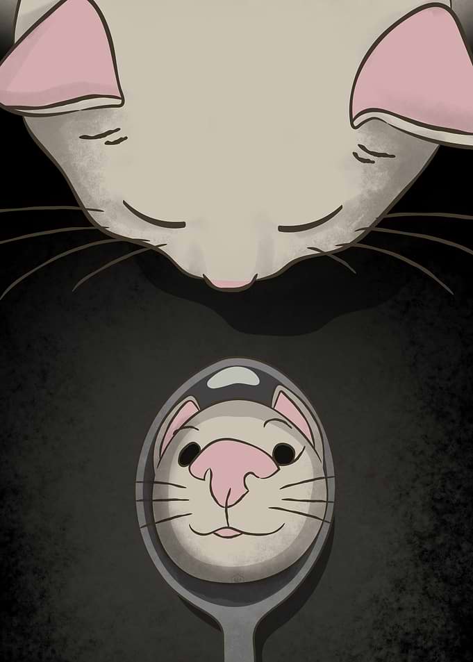 Cat Looking at Reflection in Spoon