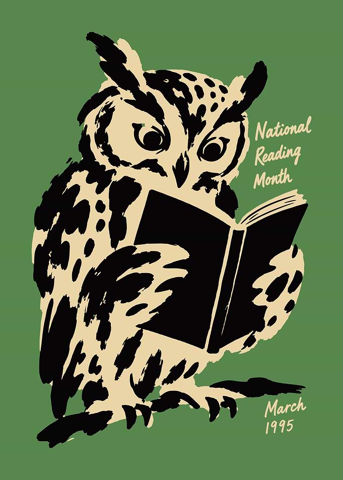 National Reading Month Owl Poster