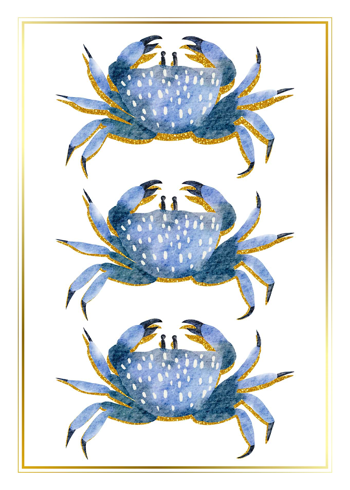 Three Watercolor Blue Crabs with Gold
