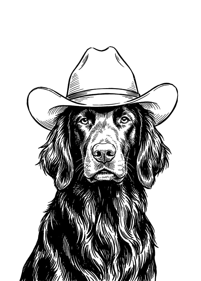 Cowboy Flat-coated Retriever