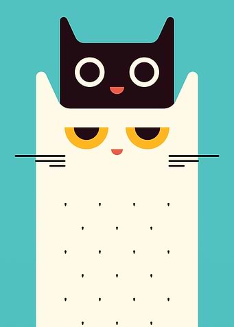 Hello Cat
