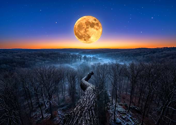 Full Moon Over Misty Forest