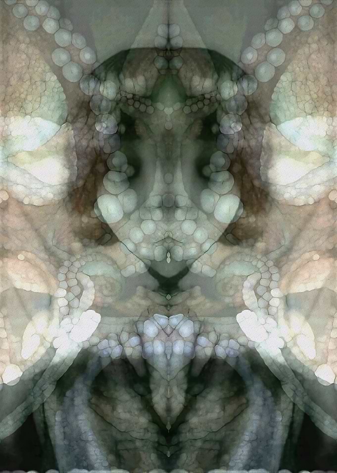 Cnidarian Effect 2