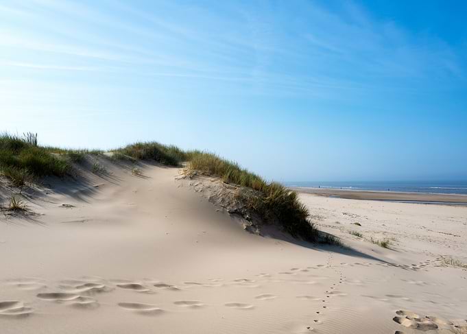 Sandy Beach Dunes Under Blue Sky