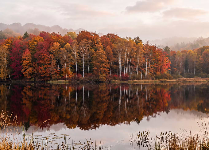 Autumn Forest Reflection on Calm Lake