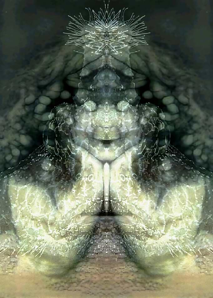 Cnidarian Effect 1