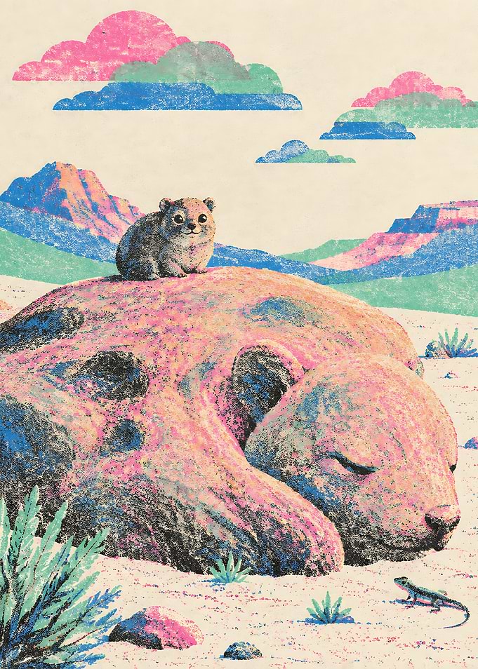 Quokka Sitting on Sleeping Bear Rock