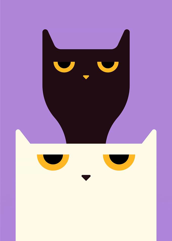 Cat - What do you want!