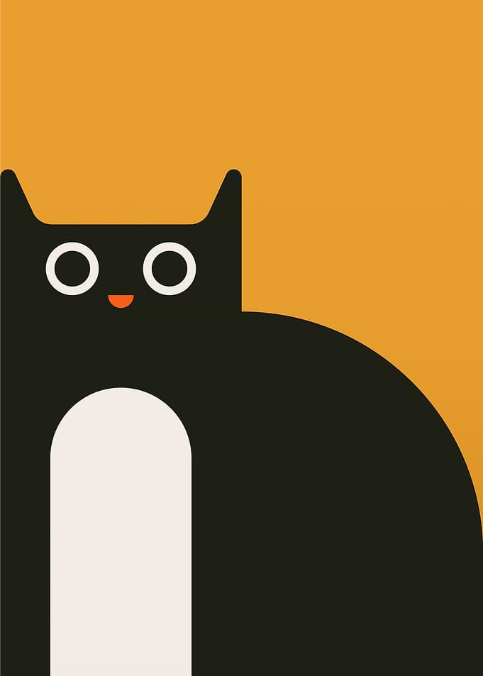 Scared cat