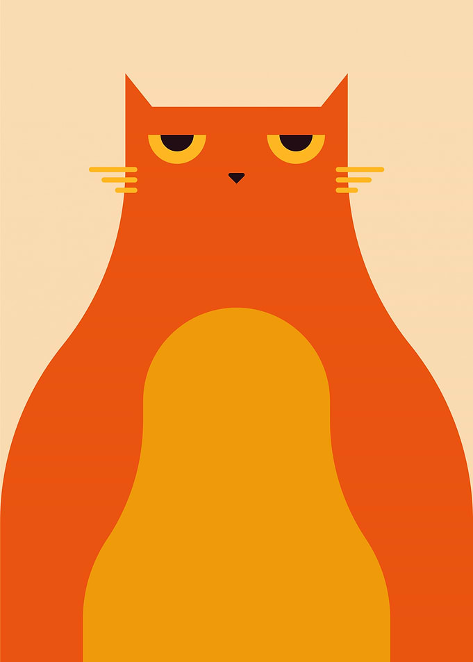 Grumpy orange cat
