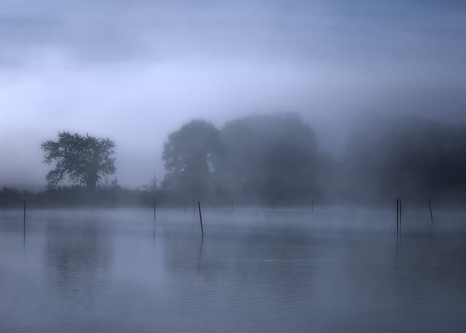 Misty Morning Lake Landscape