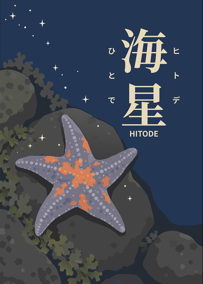 Hitode Starfish — Kanji, Hiragana, Katakana & Romaji Japanese Word Art