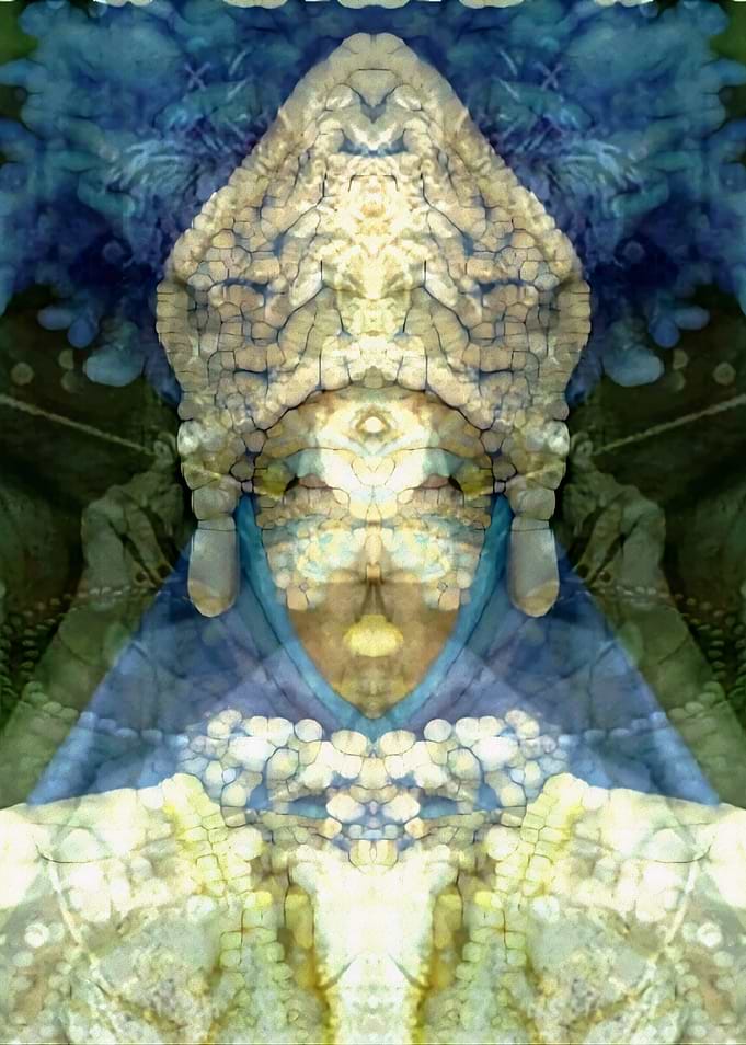 Cnidarian Effect 3
