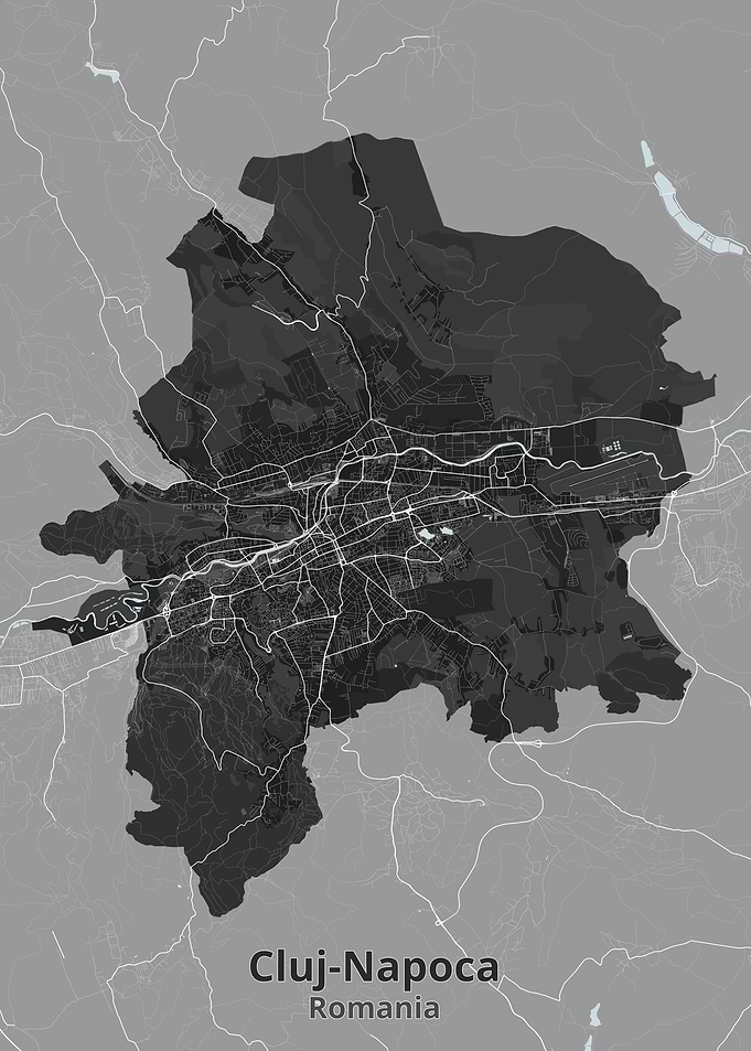 Cluj-Napoca City Map Print