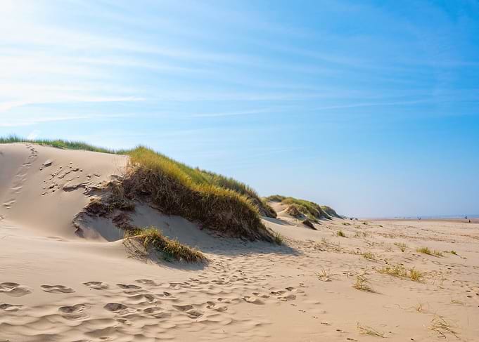 Sunny Sand Dunes at the Beach