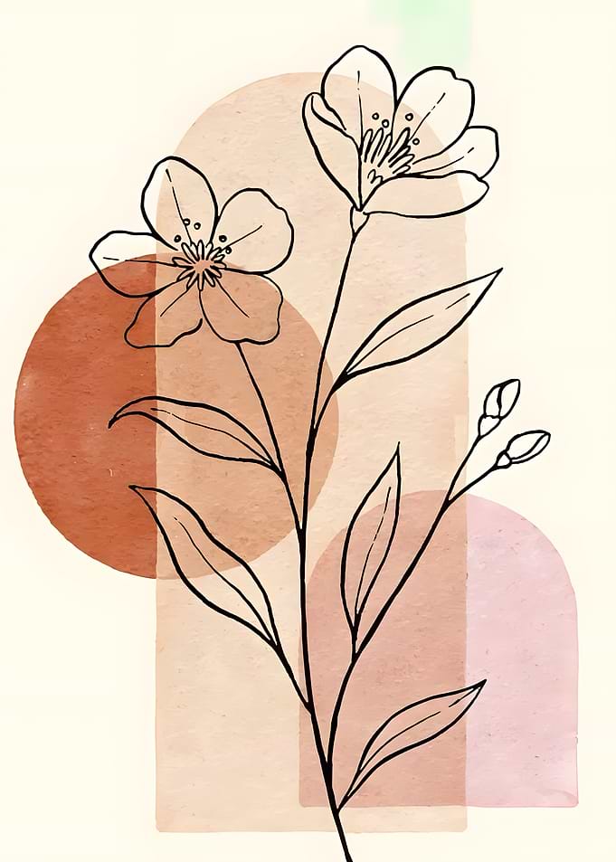 Minimalist Floral Line Art Illustration