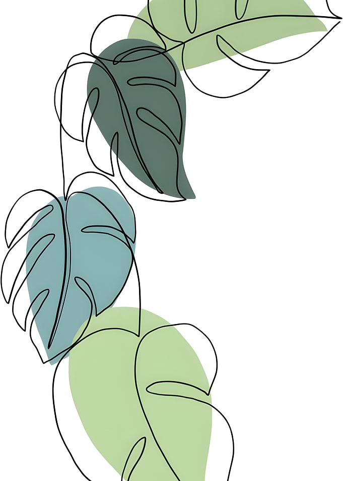 Minimalist Monstera Leaf Line Art