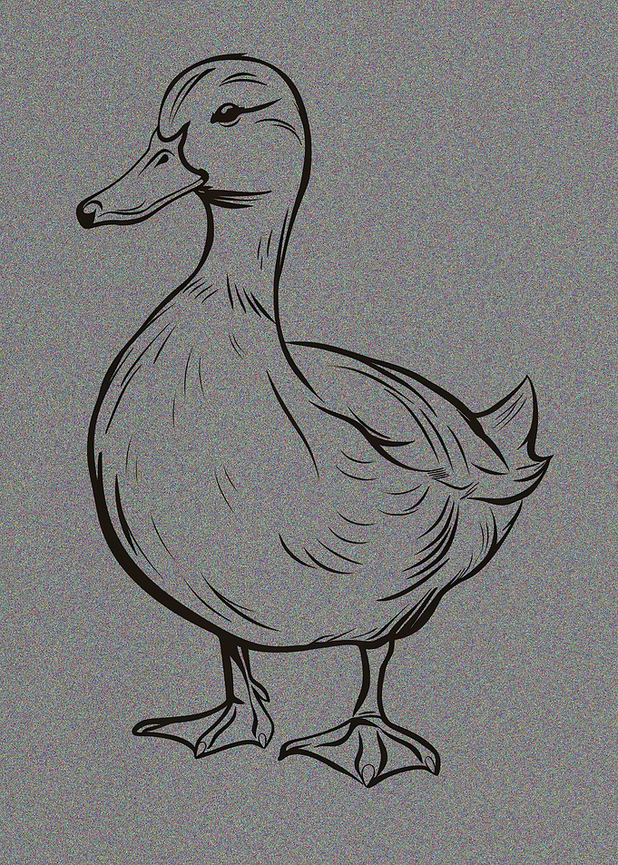 Black and White Duck Line Art