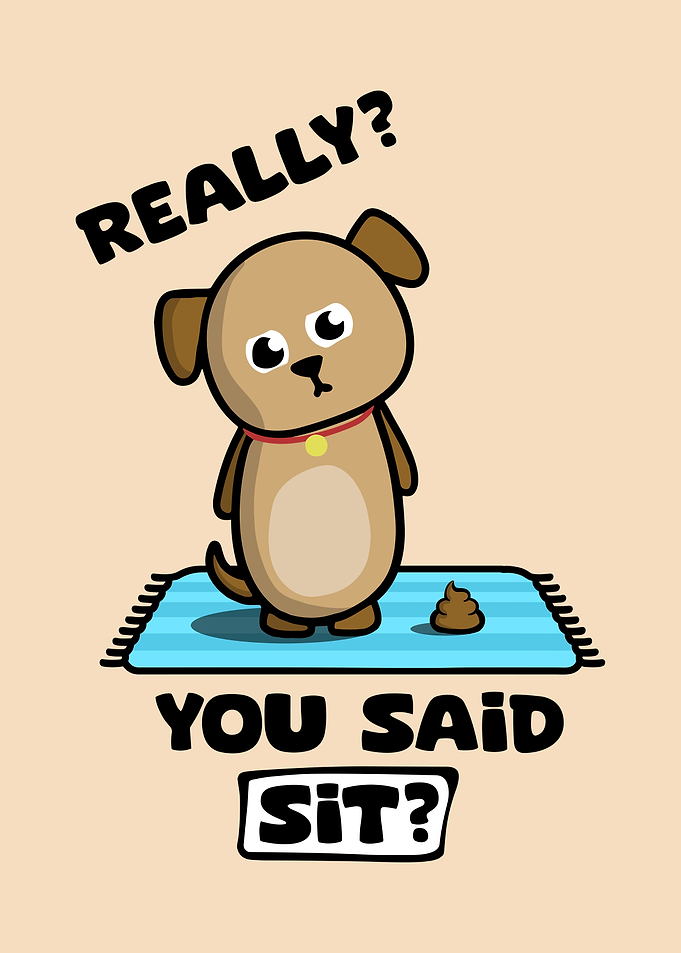 Funny Dog Misunderstanding Sit Command