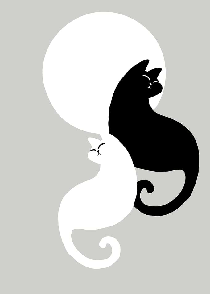 Minimalist Yin Yang Cat Illustration